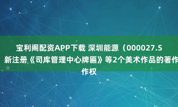 宝利阁配资APP下载 深圳能源（000027.SZ）新注册《司库管理中心牌匾》等2个美术作品的著作权