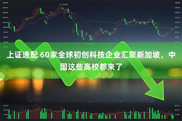 上证速配 60家全球初创科技企业汇聚新加坡，中国这些高校都来了